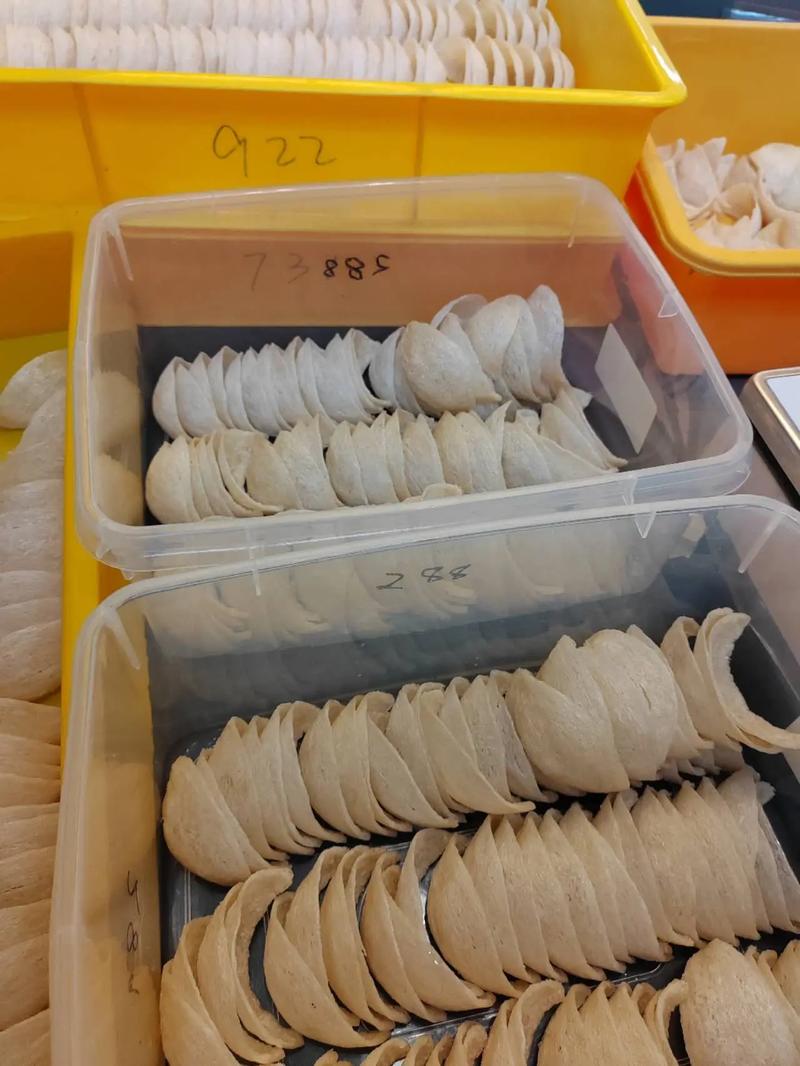 马来西亚燕窝工厂,纯手工美食,安全食品 #滋补养生食材,快来